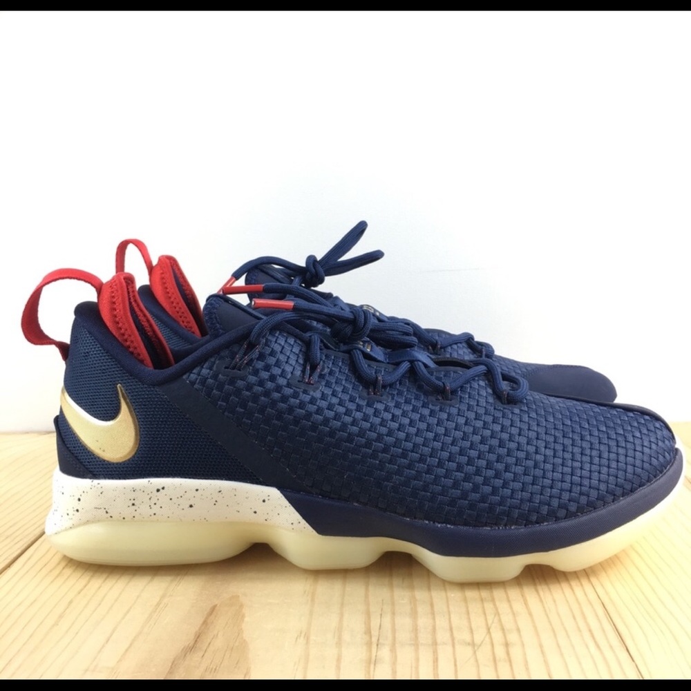 Lebron XIV Size 10-10.5